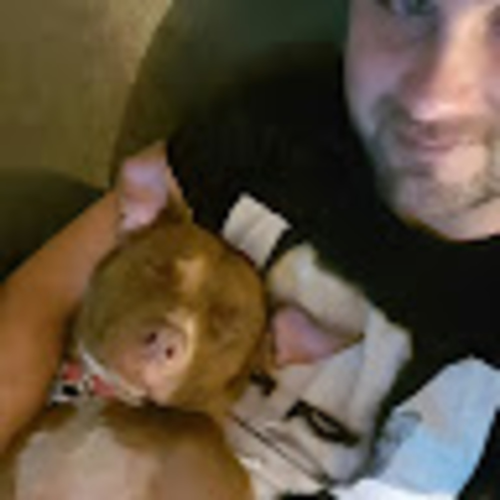 Meet your Posher, Kenneth